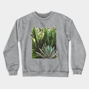 Cacti Growth Crewneck Sweatshirt